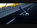 【 M.M.D.】Rolling Girl【 S.T.A.L.K.E.R.】