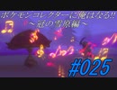 ポケモンコレクターに俺はなる‼～冠の雪原編～#025
