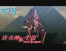 RE出たけど無印版を初見プレイ【真・女神転生ⅢNOCTURNE】　＃28