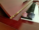 Holy melody night＼あと4日／