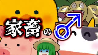 【食肉業界の闇？】卵を産まないオスはどうするの？・・・つぶす【ゆっくり解説】