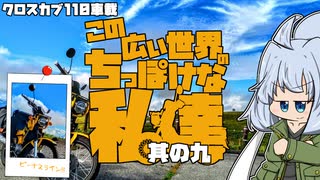 【クロスカブ110車載】この広い世界のちっぽけな私達 其の九【ビーナス編～後編～】