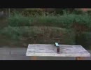オールナイト　しない/らじおZATSUDANic　NATIVE