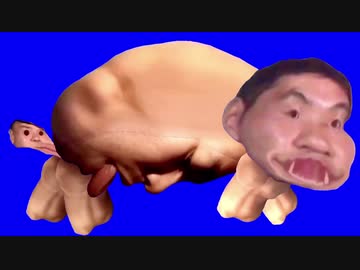 カバ先輩BB＋使用例