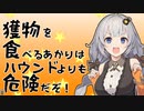 獲物を食べるあかりはハウンドよりも危険だぞ！