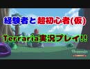 経験者と超初心者のTerraria(マスターモード)実況プレイ！ Part26.5