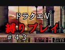【ドラクエ5 縛りプレイ】天空の塔までいざ！目指すは天空城！Part43【アルカリ性】