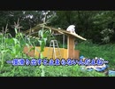 鶏小屋④屋根板　最高のTKG12　The road to Golden 'Rice with raw egg'!!!　ep12