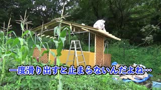 鶏小屋④屋根板　最高のTKG12　The road to Golden 'Rice with raw egg'!!!　ep12