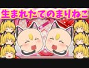 【ゆっくり茶番】ミニまりねこちゃん誕生！！