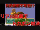 リアル兄弟でPSドカポン怒りの鉄剣その参【兄弟実況】