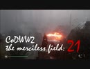 CoDWWⅡ the merciless field: 21