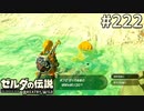 【実況】#222:ゼルダの伝説 ブレスオブザワイルド 初見実況プレイ