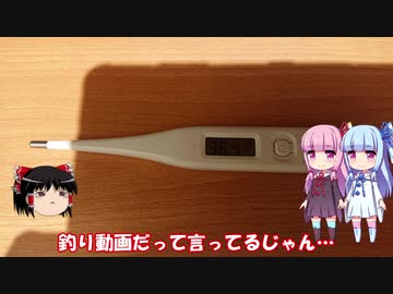 琴葉姉妹と行く釣行記録（海釣り編part11 3/3）