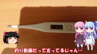 琴葉姉妹と行く釣行記録（海釣り編part11 3/3）