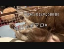 今日のポアロ。