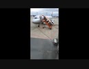 【ニコ生】『成田空港より』バボラ 1/1【2020/12/20】