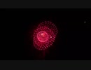 2020.12.19 ISOGAI花火劇場in名古屋港 サプライズ花火