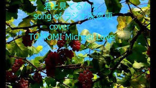 君と見てるから　song of ラジオ深夜便　cover TOMOMI Michael Love