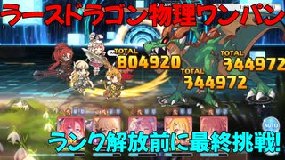 【プリコネR】ランク解放前に再挑戦　ラースドラゴンワンパン　EX3【物理フルオート】