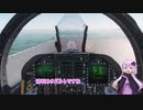 DCS FA-18C 発艦　－　空中給油　－　着艦