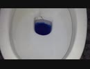 オービーズをトイレに流してみた２