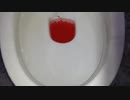 オービーズをトイレに流してみた３