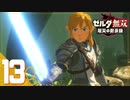 【ゼルダ無双 厄災の黙示録】BotWの100年前の戦いへ！*実況＃13