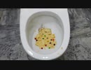 スキットルズとプリングルズをトイレに流してみた