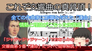 【ゆっくり解説】ゆっくり霊夢と学ぶ「誰でもわかる！クラシックの名曲解説」Vol.7「交響曲第５番「運命」（ベートーヴェン）」