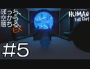 【実況】ぼっち、空から落ちる。EX #5【Human Fall Flat】