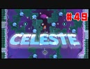 なぜ山に登るのか #49【Celeste】