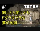 T4-3：ボーンボーンと聞こえてきそうな無限ループ【TETRA】【女性ゲーム実況】