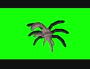 南米で発見された新種のサザンドラ.GB