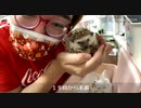 【野田草履P】動物カフェに来た【ツイキャス】