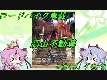 【ロードバイク車載】高山不動尊に泣くよ、うぐいす【鳴花ヒメ・ミコト】