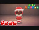 【実況】サンタのふくが似合い過ぎて可愛い1ごう #236【あつまれどうぶつの森】