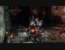 【DARK SOULS Ⅱ SCHOLAR OF THE FIRST SIN】-絶望を焚べよ-　１週目を普通に攻略　～其の９～【ダクソ２】