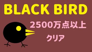 【STG】そうだ「BLACK  BIRD」をしよう　2500万点以上クリア