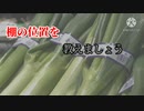 棚卸し(カラオケver.)