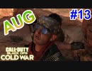 ナイファーに蹂躙された日。｜AUG【CoD:BOCW実況】part13