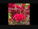 Tropical Wave - Lerumunamo[Original Instrumental]