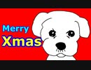 クリスマスにはマルチーズ