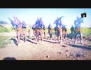 ボコハラムの最新映像！ムジャーヒディーン紹介動画