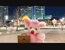 お手～