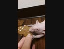 ちゅ！！！くうき どぼろ □