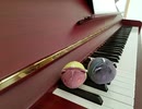 ファイナルアプローチ＼あと2日／