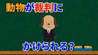 (雑学3個)動物が裁判にかけられた？(トリビア)