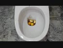 M&M'sとリンゴをトイレに流してみた