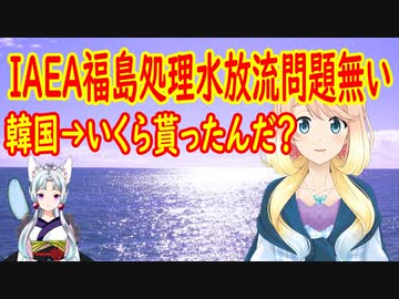 【韓国の反応】IAEA事務局長は、日本のお金を貰ったんだ！IAEAが福島処理水の海洋放流は技術的に可能との発言に韓国さんが…【世界の〇〇にゅーす】